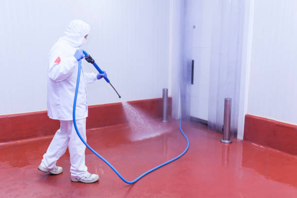 Best Fleet Vehicle Washing  in Citrus Springs, FL