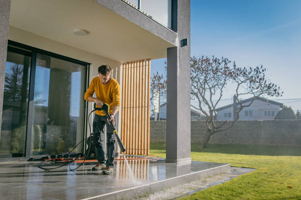 Best Gutter Cleaning  in Citrus Springs, FL